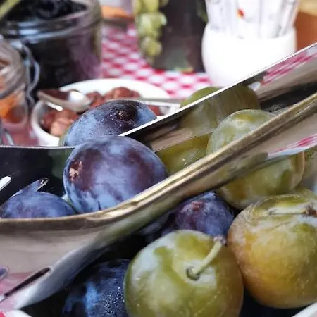 杜帕克酒店 2* 蒙彼利埃